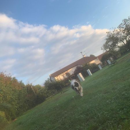 Agriturismo Il Podere Vedelago Con San Bernardo, Alpaca E Una Pentola Di Cose Da Scoprire Buitenkant foto