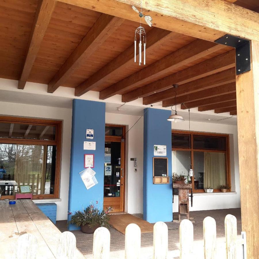 Agriturismo Il Podere Vedelago Con San Bernardo, Alpaca E Una Pentola Di Cose Da Scoprire Buitenkant foto