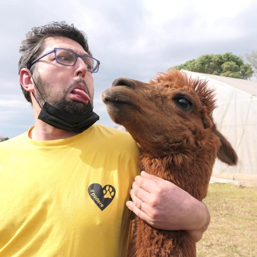 Agriturismo Il Podere Vedelago Con San Bernardo, Alpaca E Una Pentola Di Cose Da Scoprire Buitenkant foto