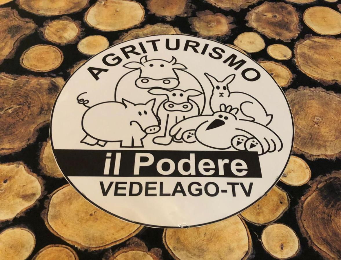 Agriturismo Il Podere Vedelago Con San Bernardo, Alpaca E Una Pentola Di Cose Da Scoprire Buitenkant foto