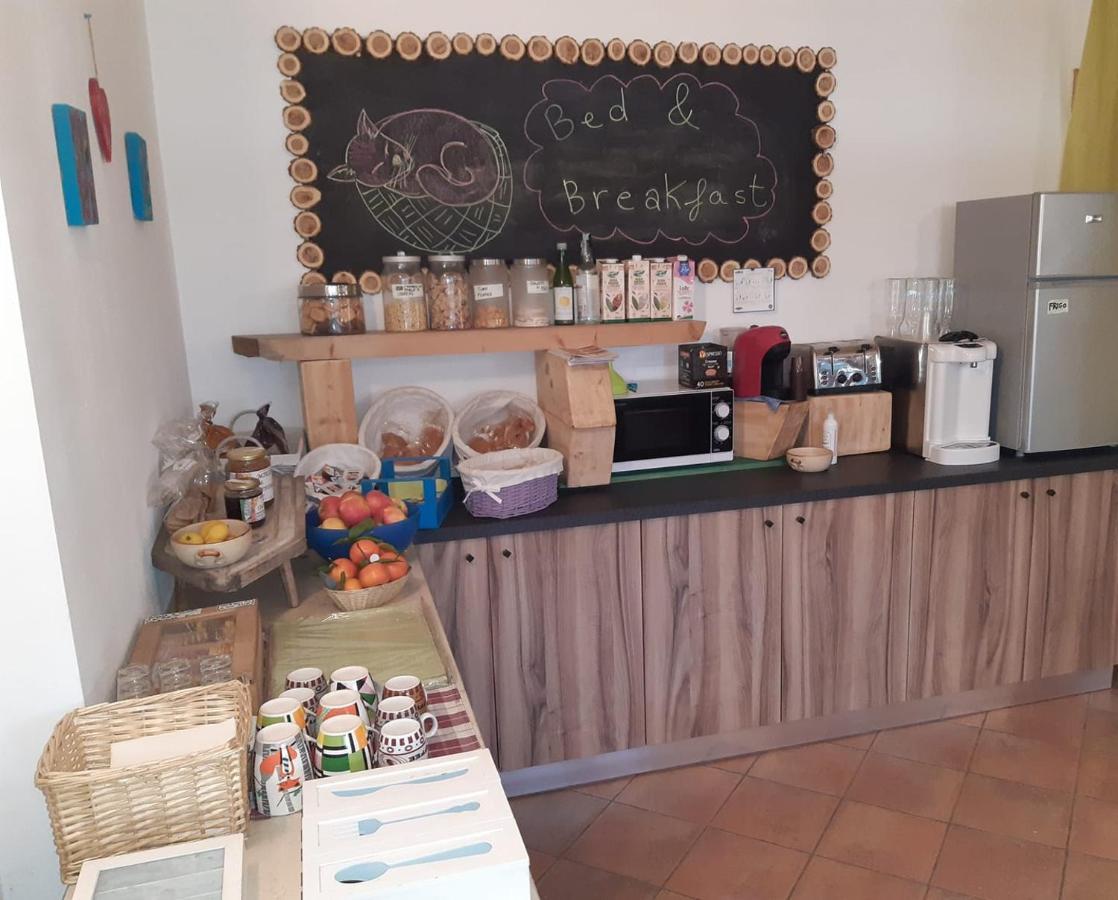 Agriturismo Il Podere Vedelago Con San Bernardo, Alpaca E Una Pentola Di Cose Da Scoprire Buitenkant foto