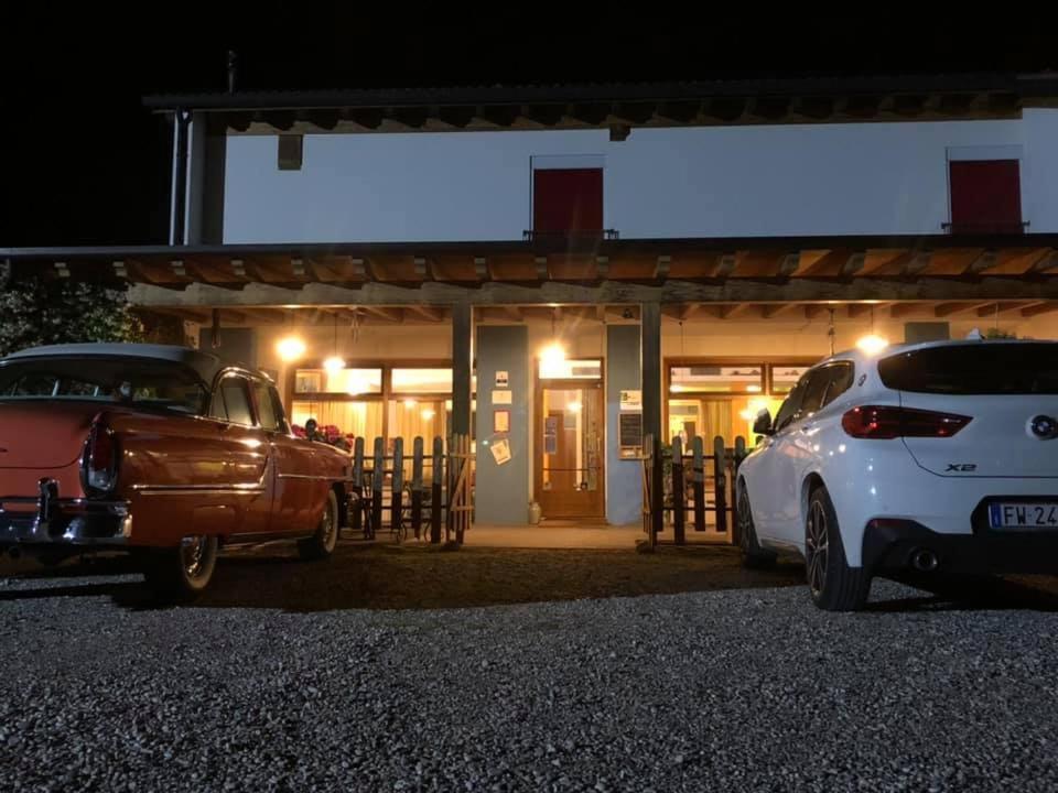 Agriturismo Il Podere Vedelago Con San Bernardo, Alpaca E Una Pentola Di Cose Da Scoprire Buitenkant foto