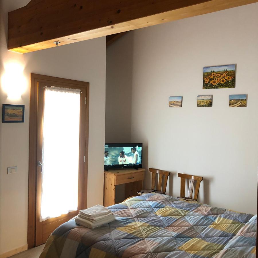 Agriturismo Il Podere Vedelago Con San Bernardo, Alpaca E Una Pentola Di Cose Da Scoprire Buitenkant foto