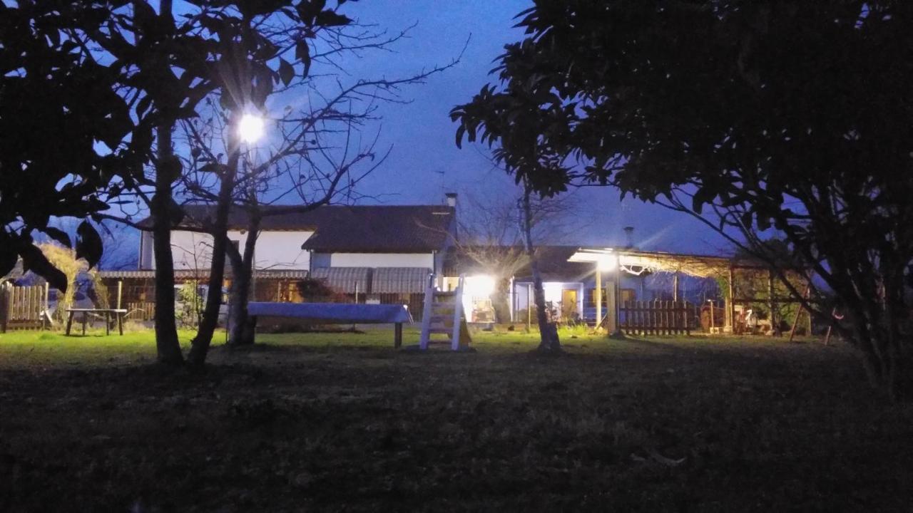 Agriturismo Il Podere Vedelago Con San Bernardo, Alpaca E Una Pentola Di Cose Da Scoprire Buitenkant foto