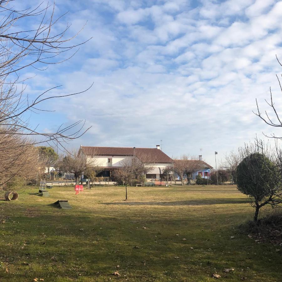 Agriturismo Il Podere Vedelago Con San Bernardo, Alpaca E Una Pentola Di Cose Da Scoprire Buitenkant foto