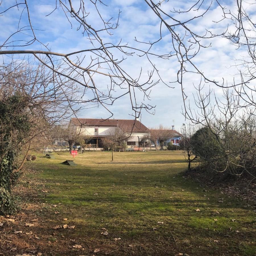 Agriturismo Il Podere Vedelago Con San Bernardo, Alpaca E Una Pentola Di Cose Da Scoprire Buitenkant foto