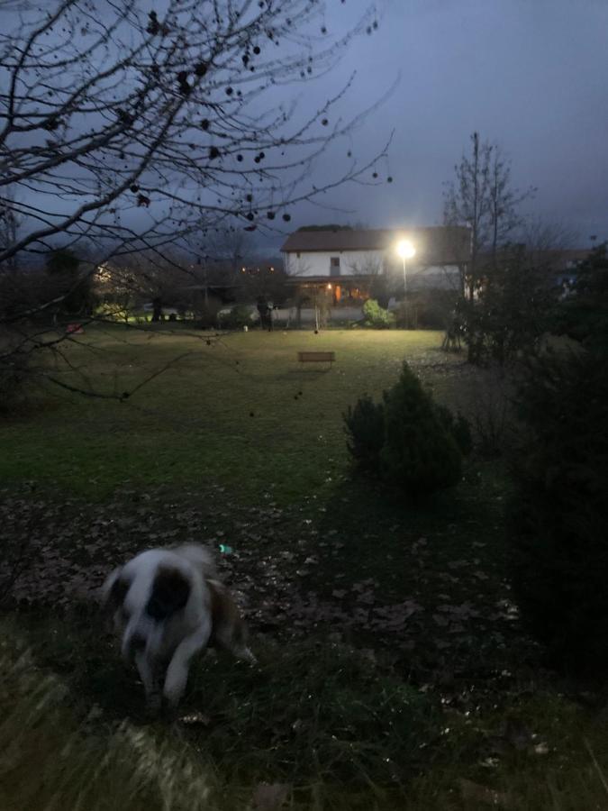 Agriturismo Il Podere Vedelago Con San Bernardo, Alpaca E Una Pentola Di Cose Da Scoprire Buitenkant foto