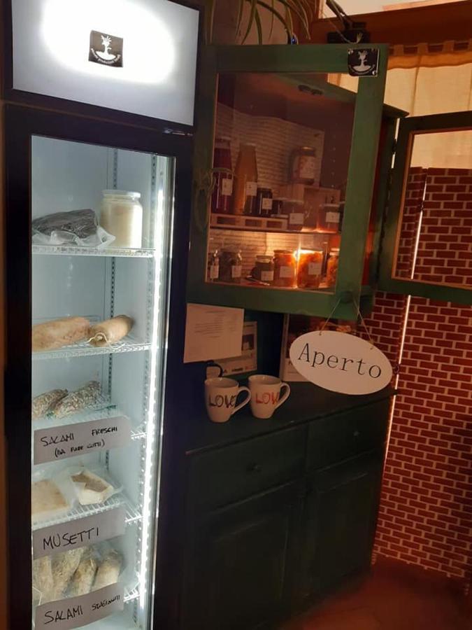 Agriturismo Il Podere Vedelago Con San Bernardo, Alpaca E Una Pentola Di Cose Da Scoprire Buitenkant foto
