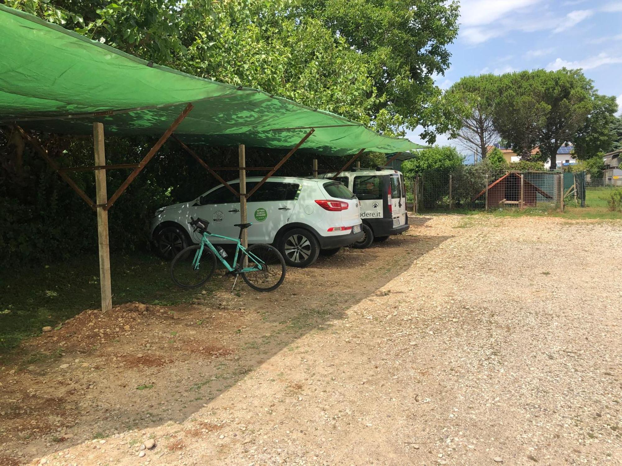 Agriturismo Il Podere Vedelago Con San Bernardo, Alpaca E Una Pentola Di Cose Da Scoprire Buitenkant foto