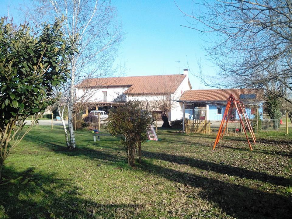Agriturismo Il Podere Vedelago Con San Bernardo, Alpaca E Una Pentola Di Cose Da Scoprire Buitenkant foto