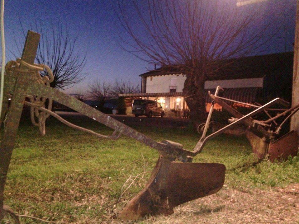 Agriturismo Il Podere Vedelago Con San Bernardo, Alpaca E Una Pentola Di Cose Da Scoprire Buitenkant foto
