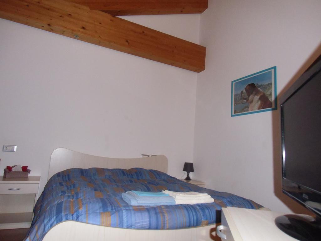 Agriturismo Il Podere Vedelago Con San Bernardo, Alpaca E Una Pentola Di Cose Da Scoprire Buitenkant foto
