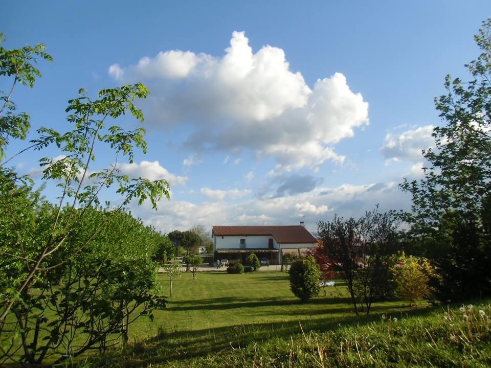 Agriturismo Il Podere Vedelago Con San Bernardo, Alpaca E Una Pentola Di Cose Da Scoprire Buitenkant foto