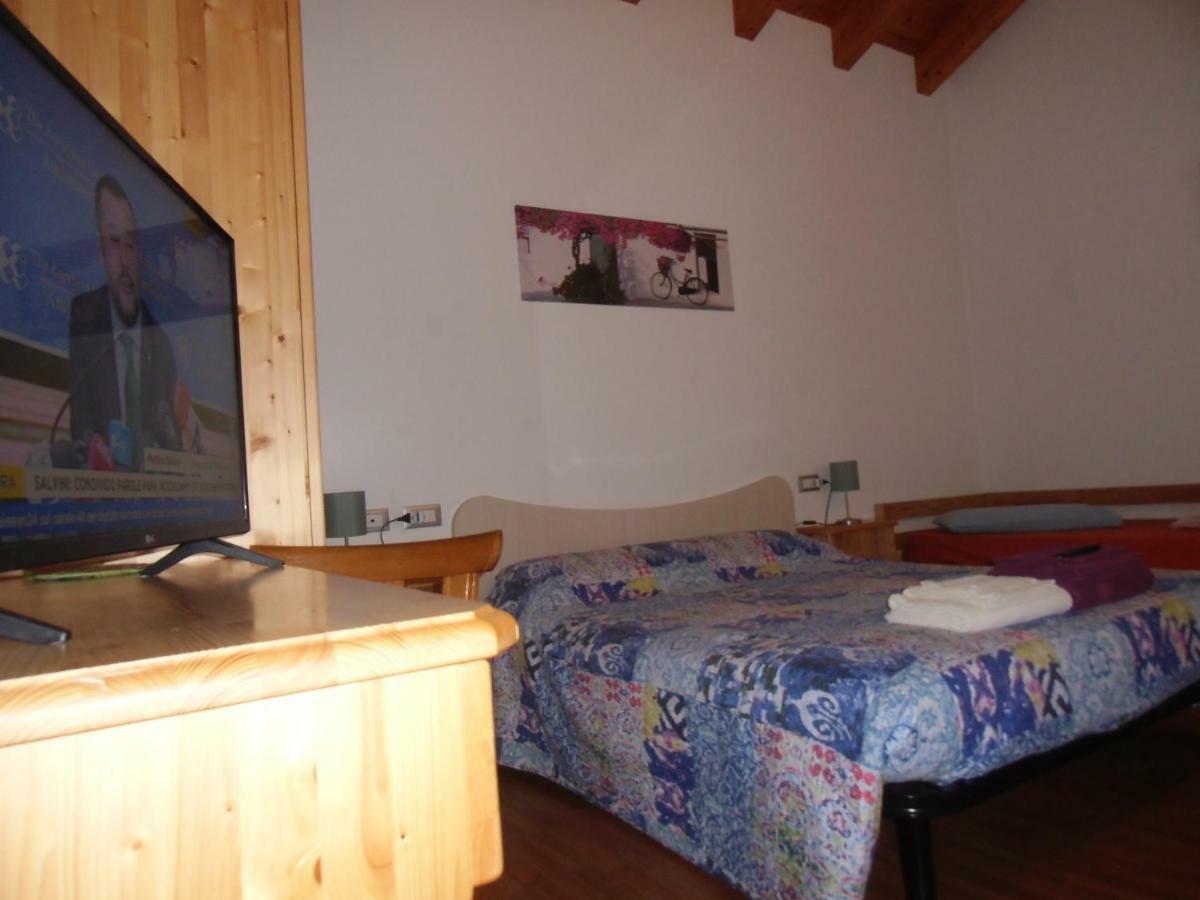 Agriturismo Il Podere Vedelago Con San Bernardo, Alpaca E Una Pentola Di Cose Da Scoprire Buitenkant foto